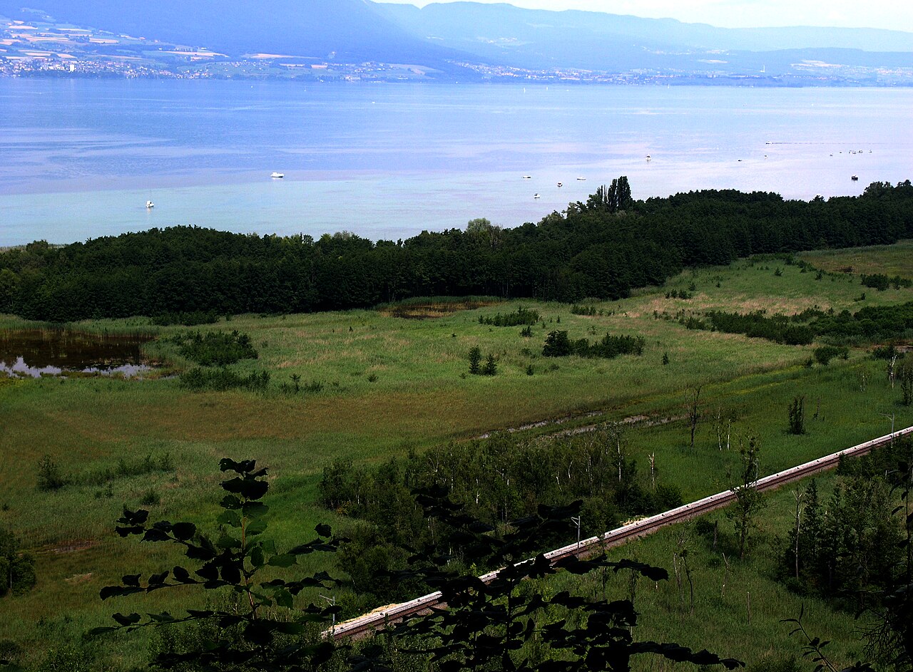La Grande Cariçaie à Cheyres, au bord du lac de Neuchâtel.
